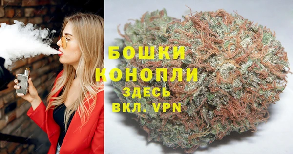 твердый Ладушкин