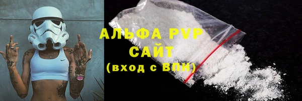 твердый Ладушкин