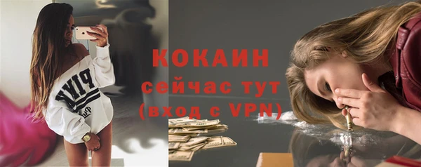 гашик Лагань