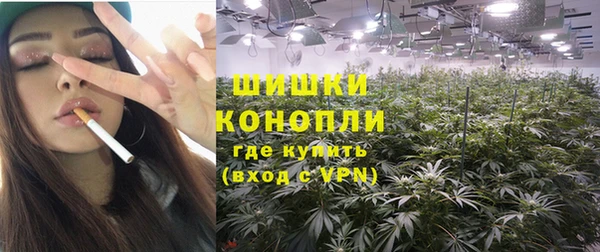 индика Куйбышев