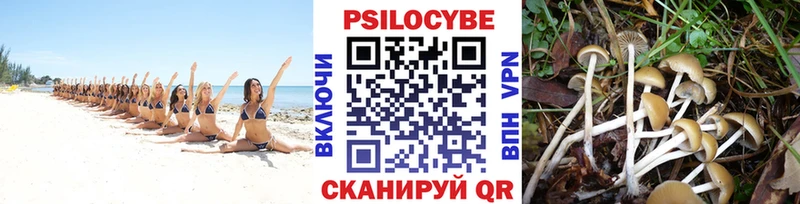 Псилоцибиновые грибы ЛСД  где можно купить   Мелеуз 